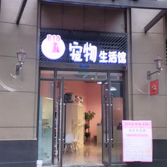 810宠物生活馆:武汉市洪山区白沙洲附近