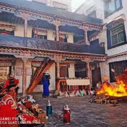 嘉禾宠物火化:天津城区东丽区程林附近