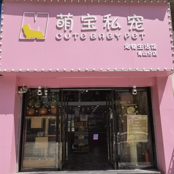 萌宝私宠宠物生活馆(青山店):武汉市洪山区欢乐大道/仁和路附近