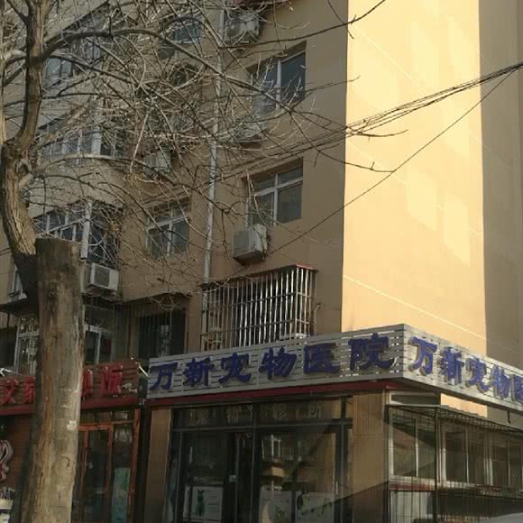 万新宠物:天津城区东丽区程林附近
