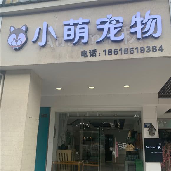 小萌宠物:武汉市洪山区珞狮南路附近