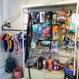 神奇宠物(左邻店):武汉市洪山区左岭附近