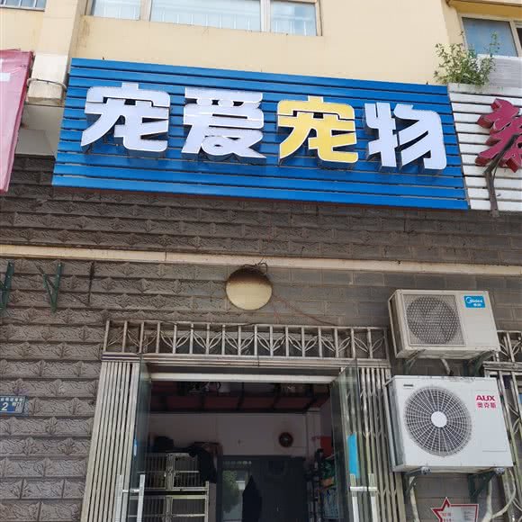 宠爱宠物:武汉市东西湖区金银湖附近