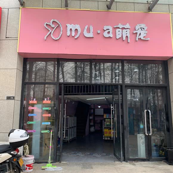 萌宠乐园:武汉市东西湖区金银湖附近