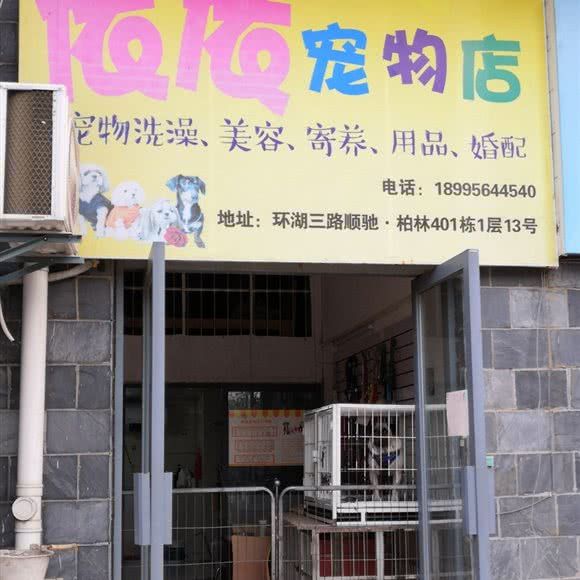 依依宠物店:武汉市东西湖区金银湖附近