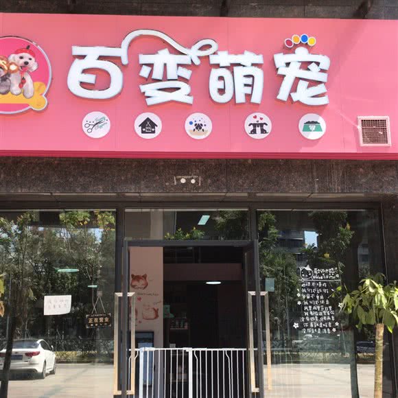 百变萌宠:武汉市东西湖区常青花园附近