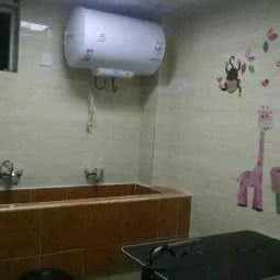 贝拉宠物生活馆:武汉市东西湖区常青花园附近