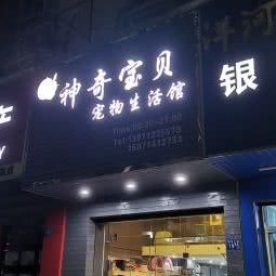 神奇宝贝宠物生活馆:武汉市东西湖区常青花园附近