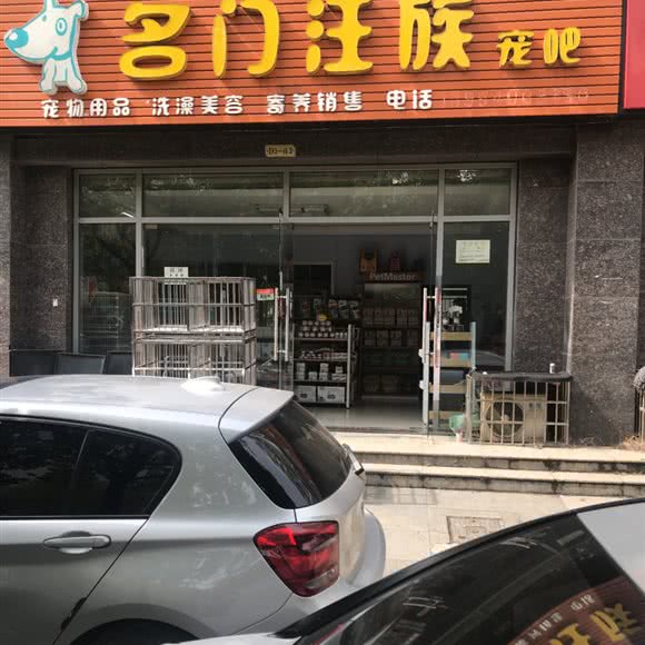 名门汪族宠吧:武汉市东西湖区常青花园附近