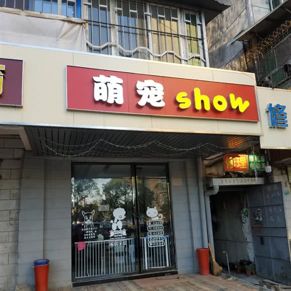 萌宠show:武汉市东西湖区吴家山附近