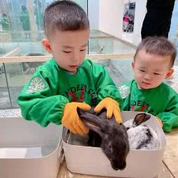 萌呆宠物乐园:武汉市东西湖区吴家山附近