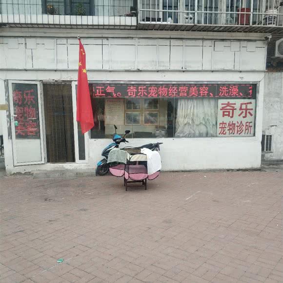 奇乐宠物诊所:天津城区东丽区程林附近