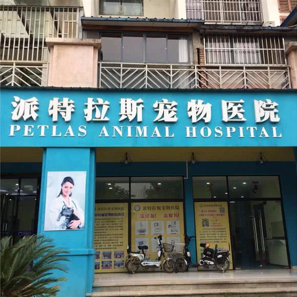 派特拉斯宠物医院:武汉市东西湖区吴家山附近