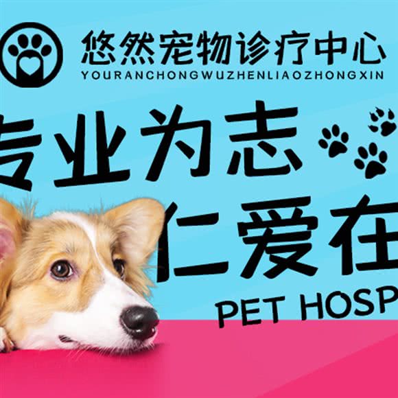 悠然宠物诊疗中心·24小时:天津城区东丽区程林附近