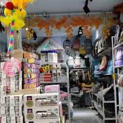 智子宠物:武汉市蔡甸区沌口附近