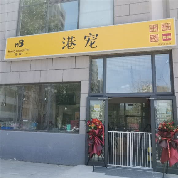 港宠:天津城区东丽区空港经济区附近