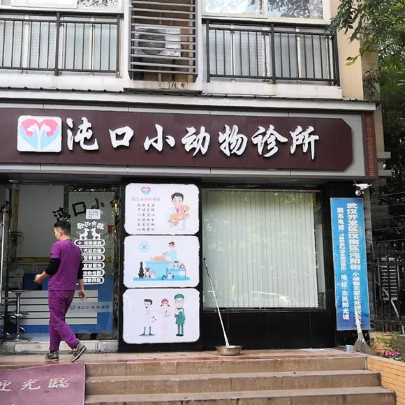 沌口小动物诊所:武汉市蔡甸区沌口附近