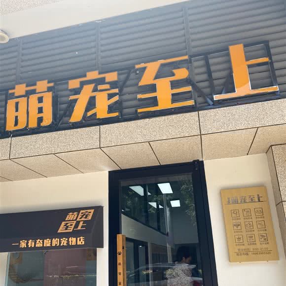 萌宠至上:武汉市蔡甸区江汉大学附近