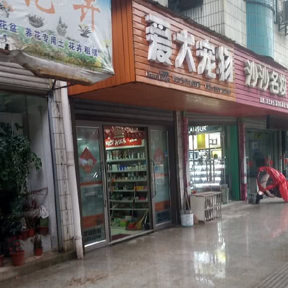 爱犬狗狗会所:武汉市蔡甸区蔡甸城区附近