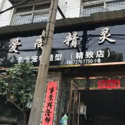 爱尚精灵专业宠物造型(精致店):武汉市蔡甸区蔡甸城区附近