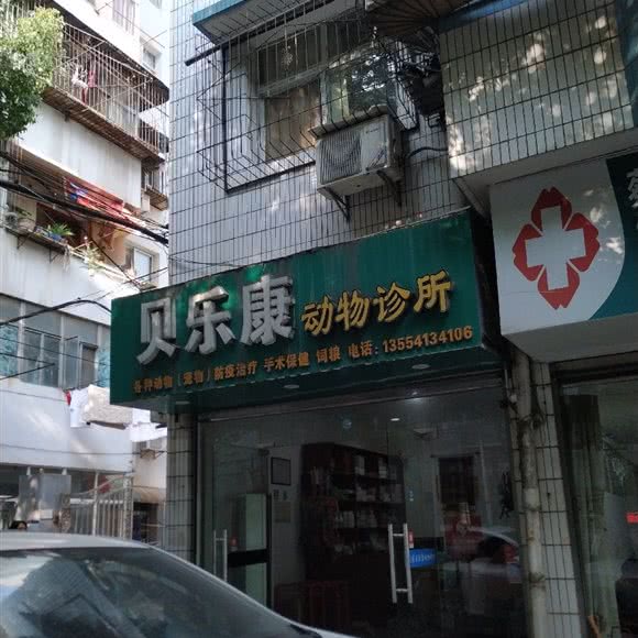 贝乐康动物诊所:武汉市蔡甸区蔡甸城区附近