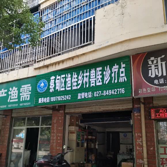 蔡甸区渔佳乡村兽医诊疗点:武汉市蔡甸区蔡甸城区附近