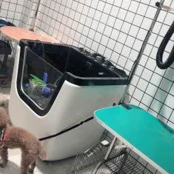 Miss 田·PET:天津城区东丽区空港/华明镇附近