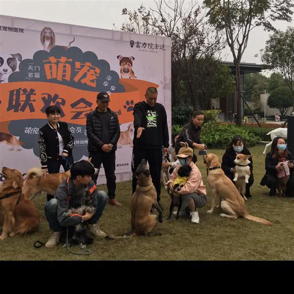 湖北萌宠乐园训犬寄养犬学校:武汉市蔡甸区蔡甸周边附近