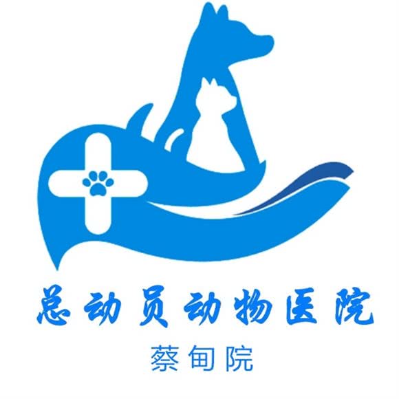 总动员动物医院(蔡甸分院):武汉市蔡甸区莲花湖大道附近