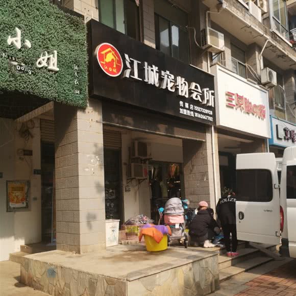 江城狗狗会所:武汉市江夏区藏龙岛附近