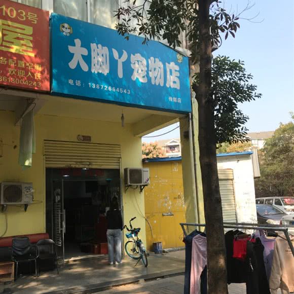 大脚丫宠物店(传媒店):武汉市江夏区藏龙岛附近