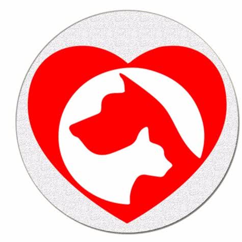 比心动物医院(藏龙岛店):武汉市江夏区藏龙岛附近