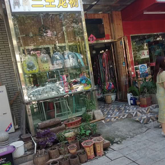 三生宠物:武汉市江夏区纸坊附近