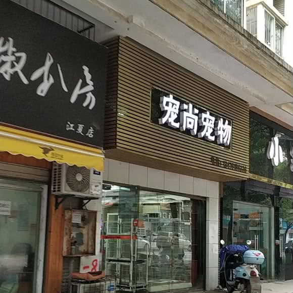 宠尚宠物:武汉市江夏区纸坊附近