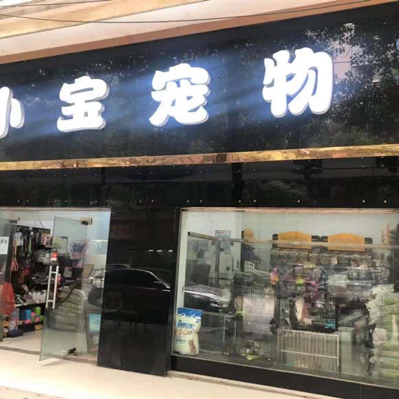 小宝宠物:武汉市江夏区纸坊附近