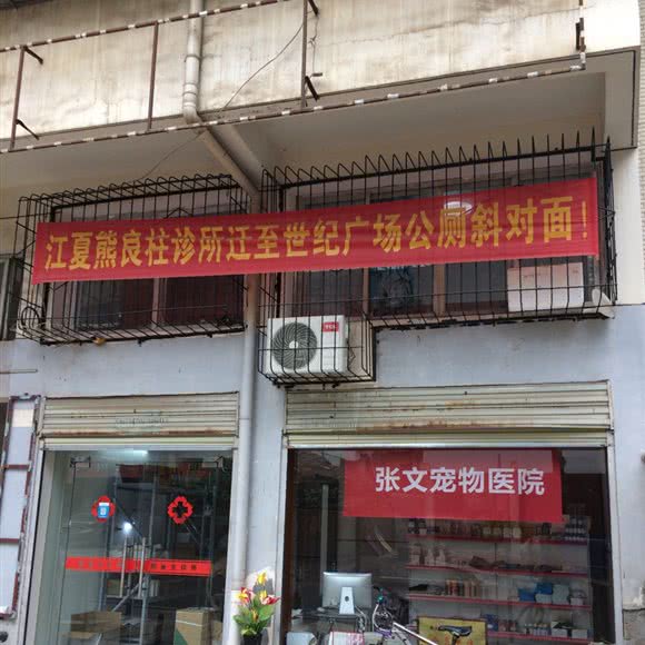张文宠物医院:武汉市江夏区纸坊附近