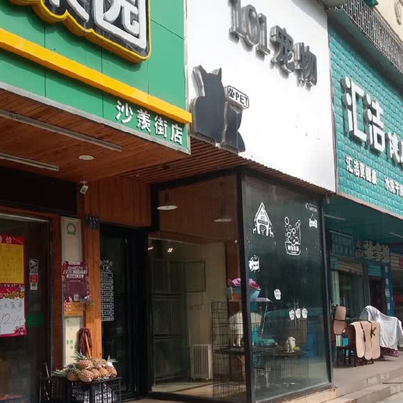101宠物诊疗所:武汉市江夏区纸坊附近