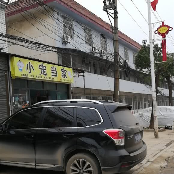 小宠当家:武汉市江夏区江夏大学城/庙山附近