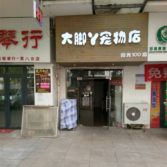 大脚丫宠物店(阳光100店):武汉市江夏区江夏大学城/庙山附近