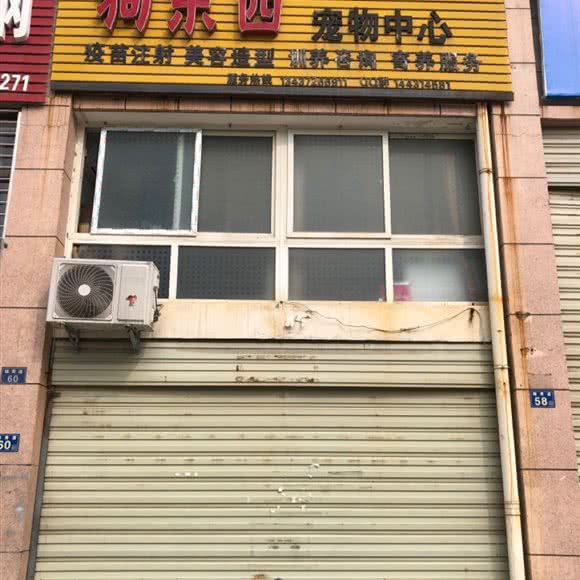 狗东西宠物中心:武汉市黄陂区黄陂广场附近