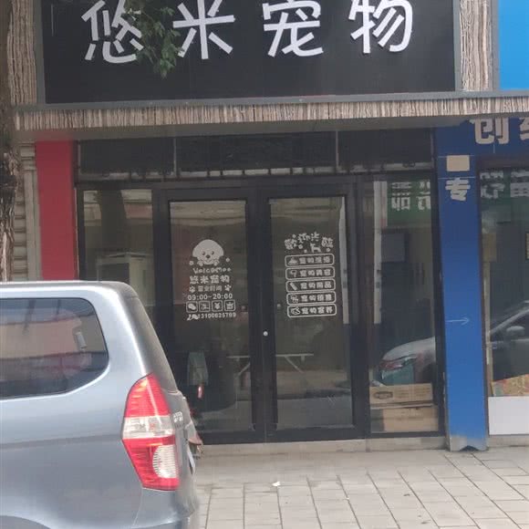 悠米宠物:武汉市新洲区新洲区附近