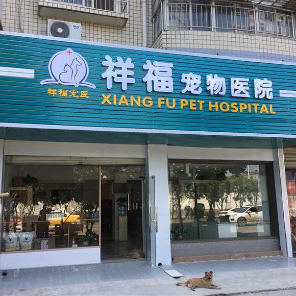 祥福宠物医院:武汉市新洲区新洲区附近