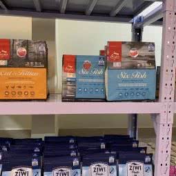 Angeline 猫舍(喜舍):天津城区东丽区空港/华明镇附近