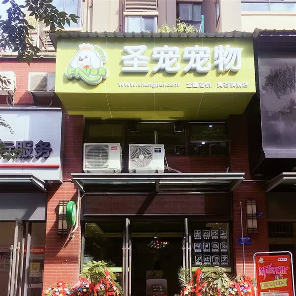 圣宠宠物狗:黄石市黄石港区湖滨大道/亚光新村附近