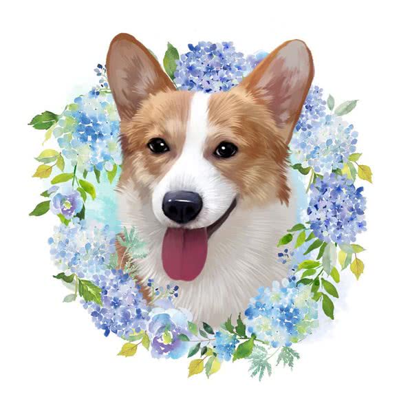 徐先生的宠物店(大上海店):黄石市黄石港区湖滨大道/亚光新村附近