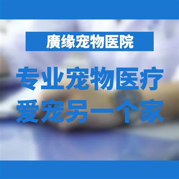 广缘宠物医院(亚光店):黄石市黄石港区湖滨大道/亚光新村附近