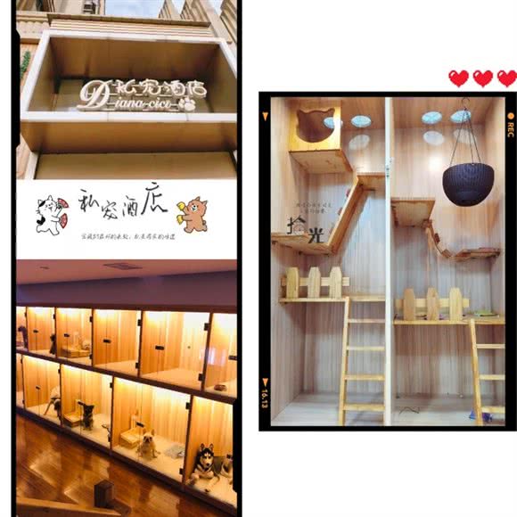 DianaCiCi私宠酒店:黄石市黄石港区黄石大桥/万达广场附近