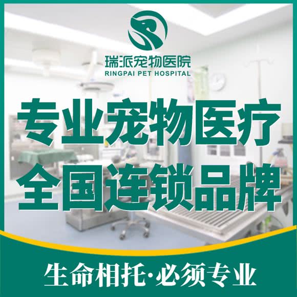 瑞派宠物医院(万达店):黄石市黄石港区黄石大桥/万达广场附近