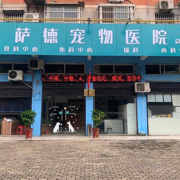 萨德宠物诊所:黄石市下陆区新下陆附近