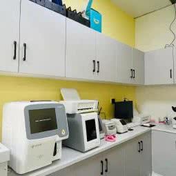 阳光宠物医院:天津城区东丽区空港/华明镇附近